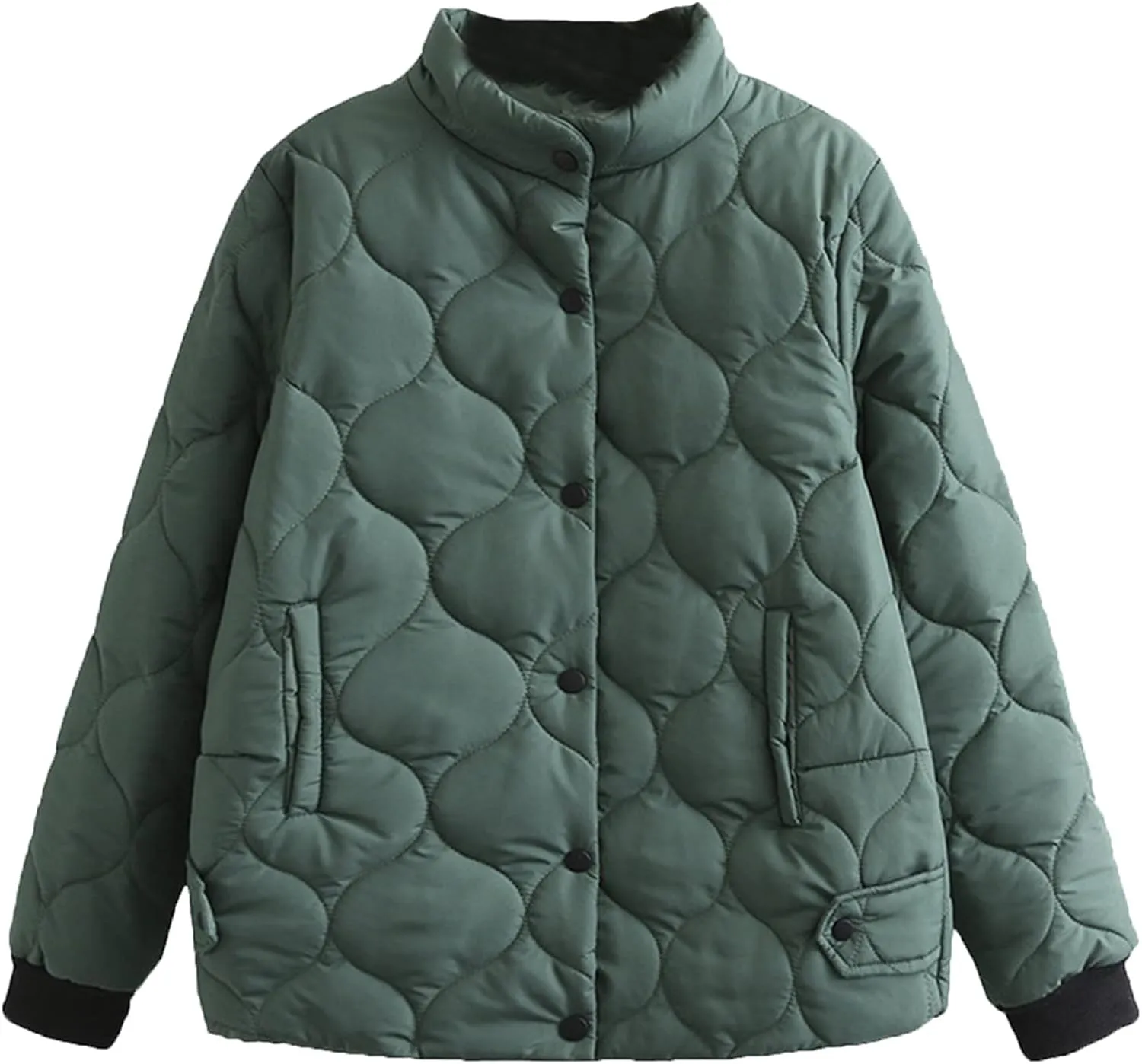 DGHM-JLMY Women's Winter Fashion Short Cotton-Padded Jacket Stand Collar Button Puffer Jacket Casual Warm Down Coat